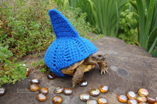 Illustration for article titled I Miss Boxie the Box Turtle